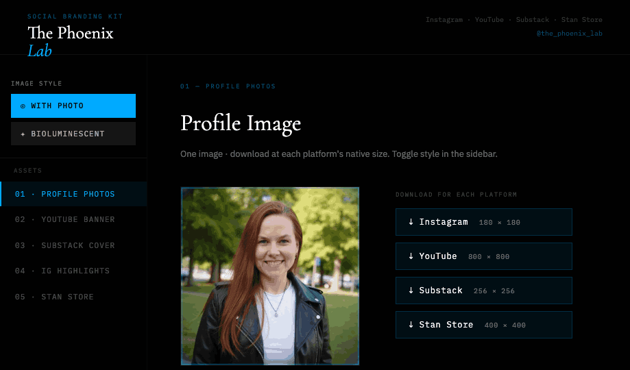 The Phoenix Lab social branding kit